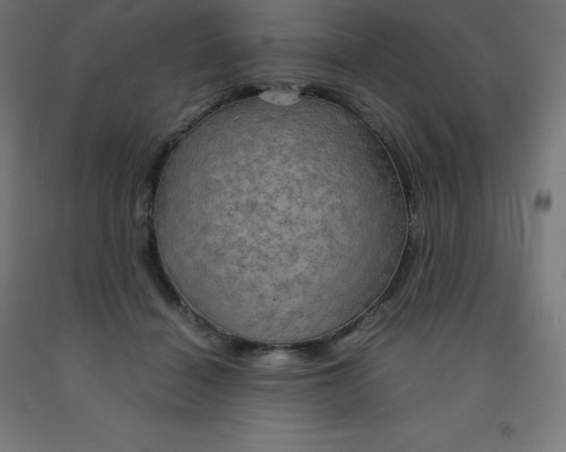 X0000092000460200709271512