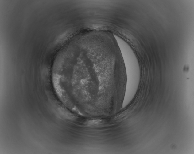 X0000092000461200709271512