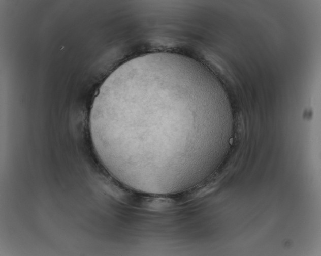 X0000092000463200709271512