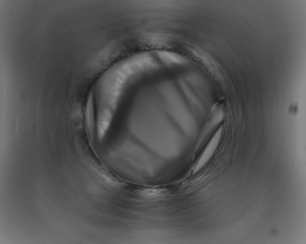 X0000092000465200709271512