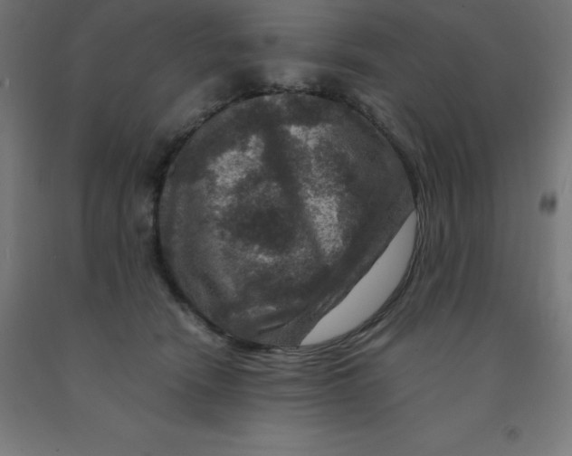 X0000092000466200709271512