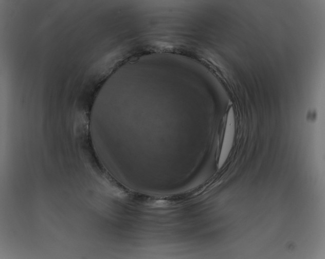 X0000092000467200709271512