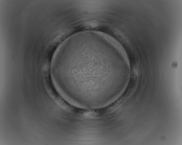 X0000092000468200709271512