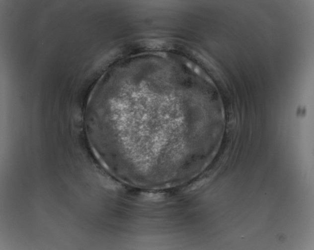 X0000092000469200709271512