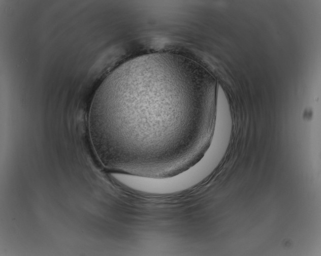 X0000092000470200709271512