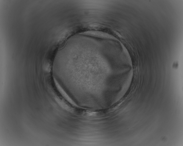 X0000092000472200709271512