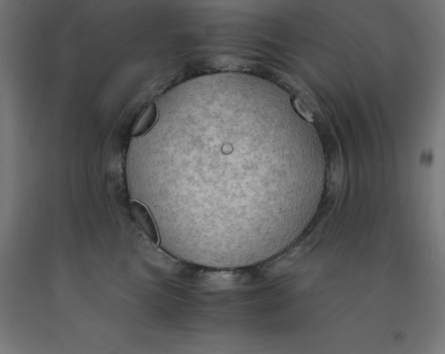 X0000092000473200709271512