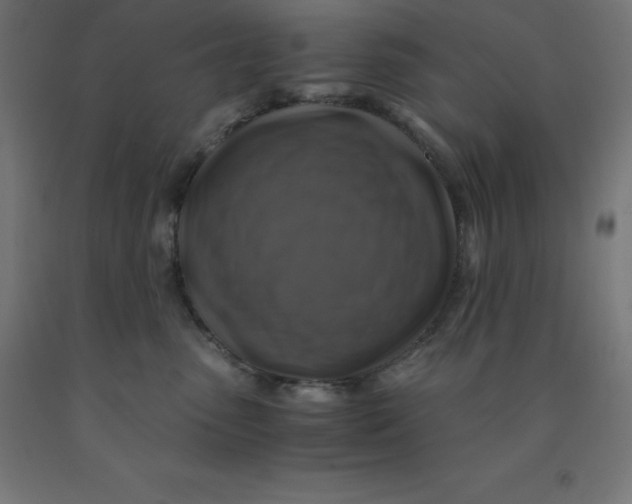 X0000092000475200709271512