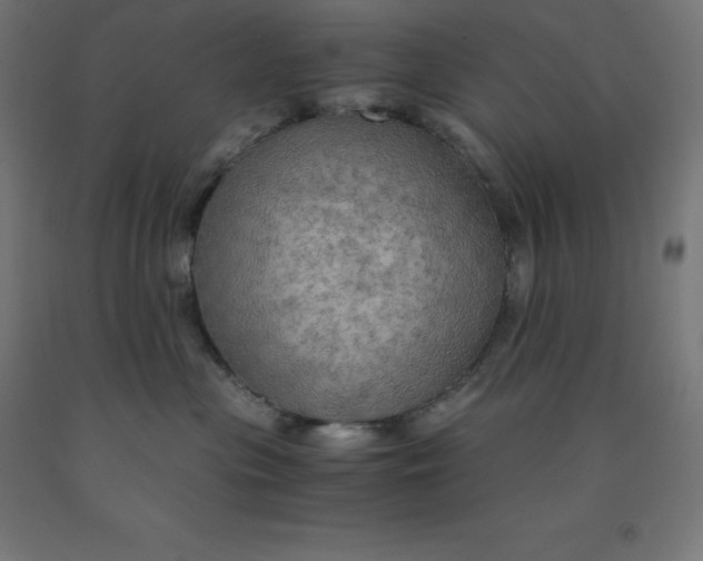 X0000092000477200709271512