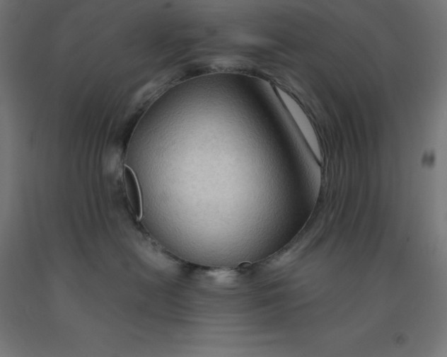 X0000092000478200709271512