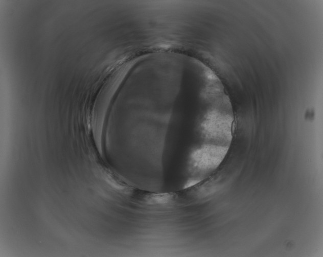 X0000092000479200709271512