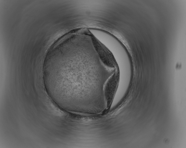 X0000092000481200709271511