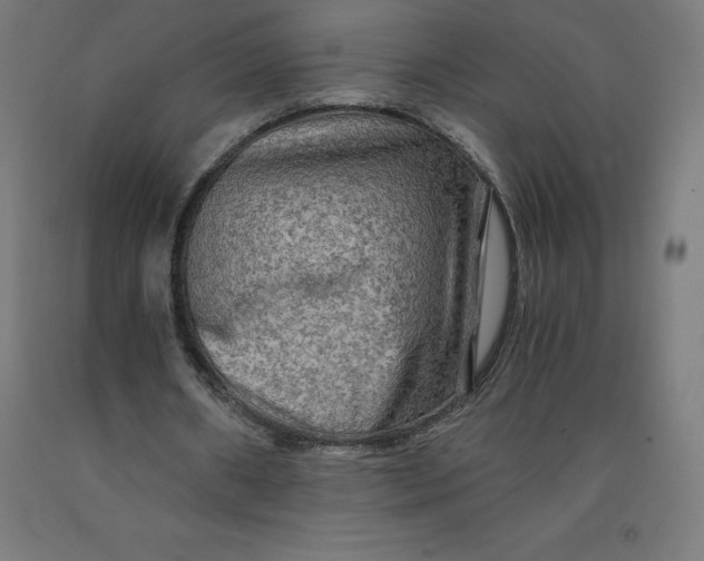 X0000092000482200709271511