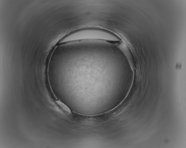 X0000092000485200709271511