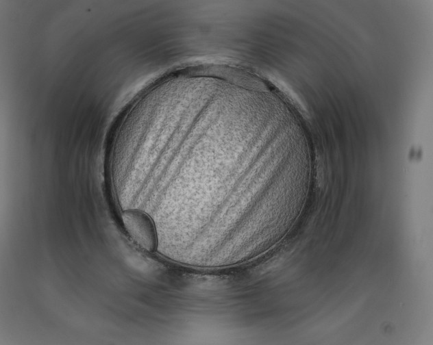 X0000092000486200709271511