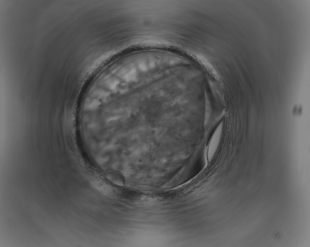 X0000092000487200709271511