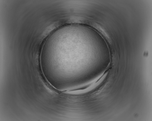 X0000092000489200709271511