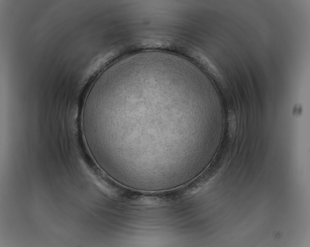 X0000092000490200709271511