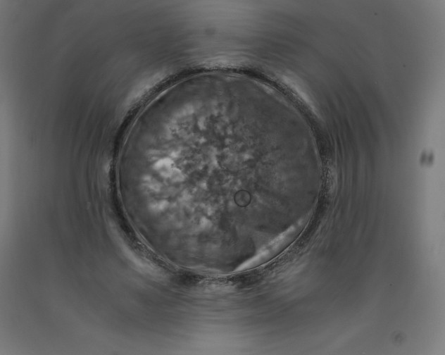 X0000092000491200709271511