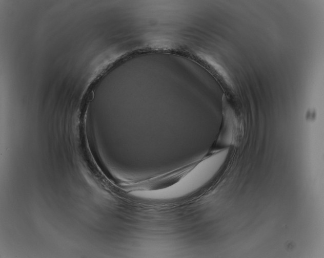 X0000092000492200709271511