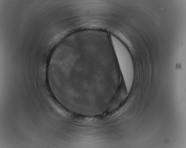 X0000092000493200709271511