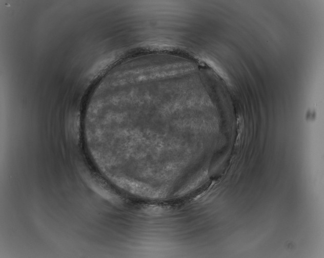 X0000092000494200709271511