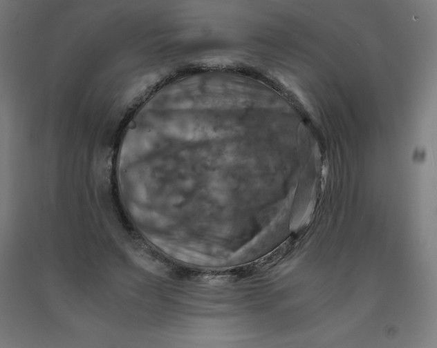 X0000092000495200709271511