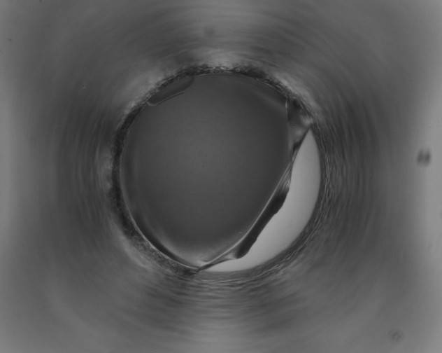 X0000092000496200709271511