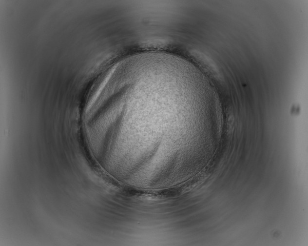 X0000092000498200709271511