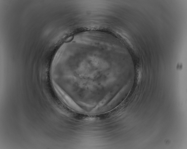 X0000092000499200709271511