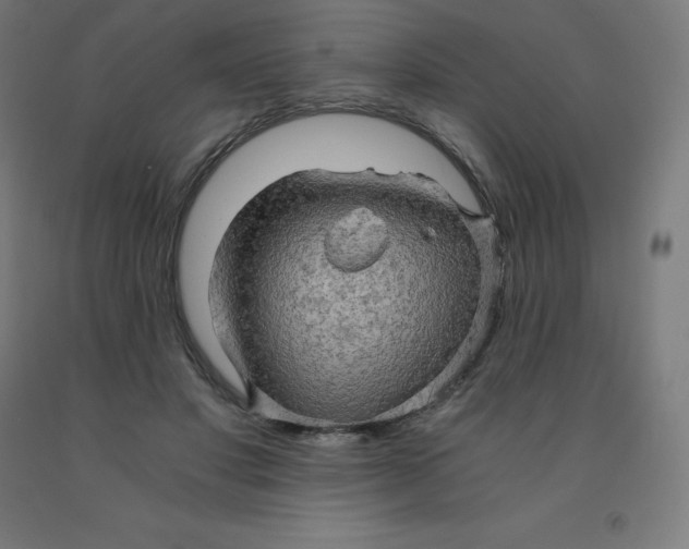 X0000092000501200709271511