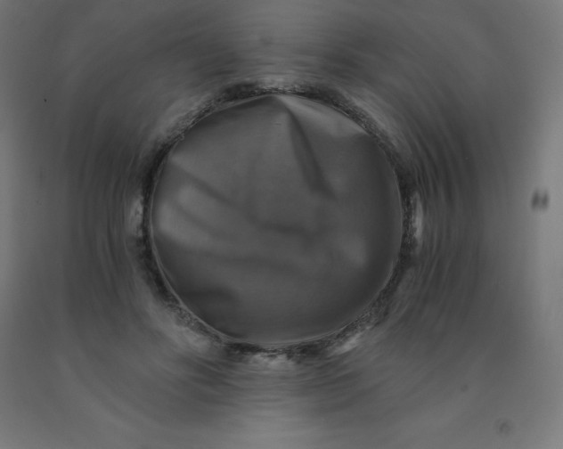 X0000092000502200709271511