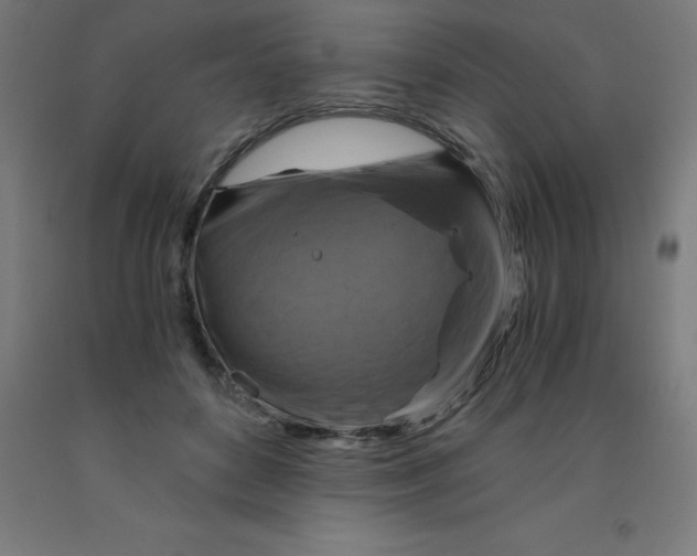 X0000092000504200709271511