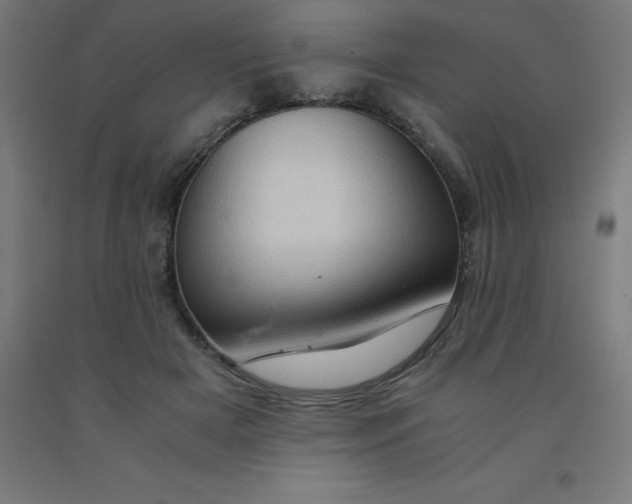 X0000092000505200709271511