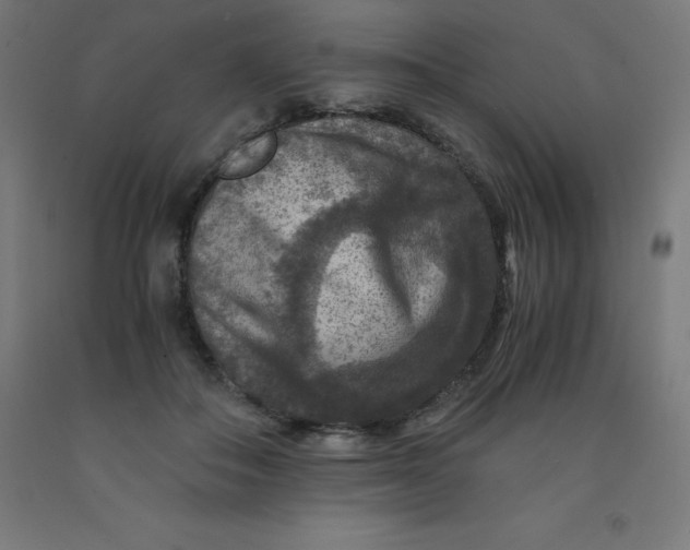 X0000092000506200709271511