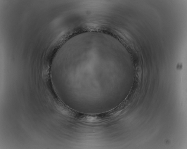 X0000092000507200709271511