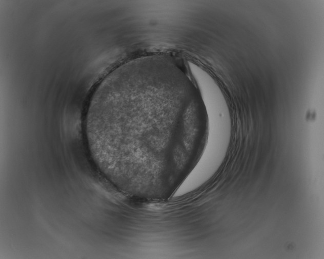 X0000092000508200709271511