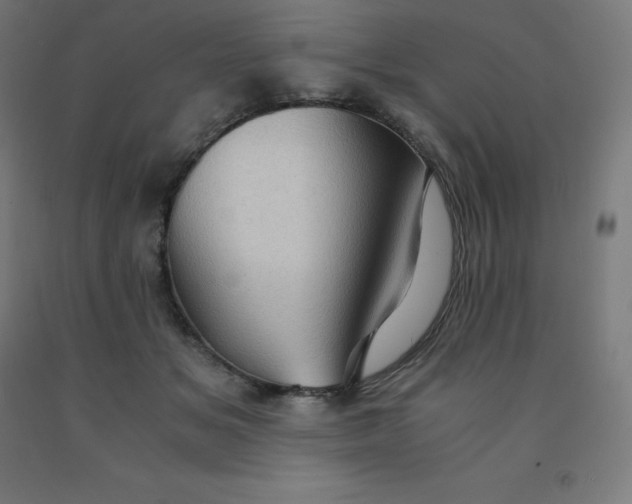 X0000092000509200709271511