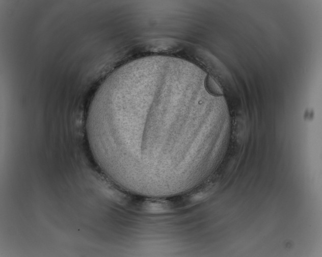 X0000092000510200709271511