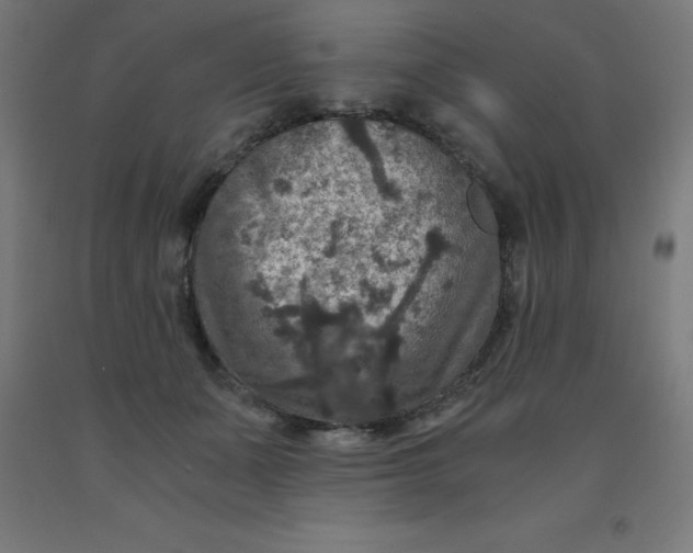 X0000092000511200709271511