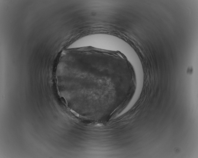 X0000092000512200709271511