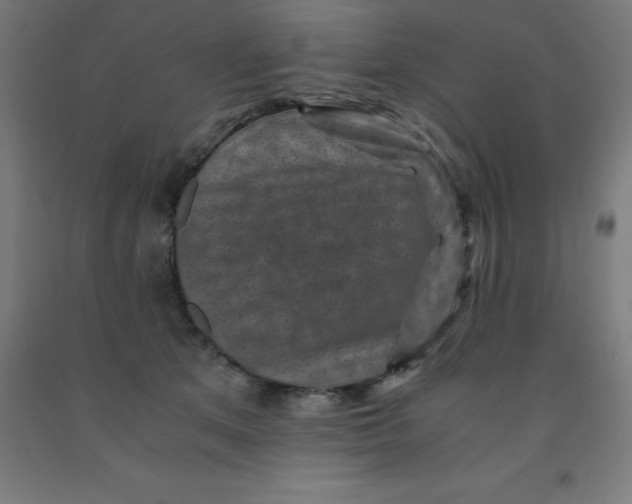 X0000092000513200709271511