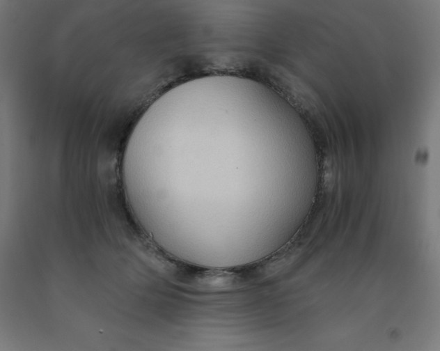 X0000092000514200709271511