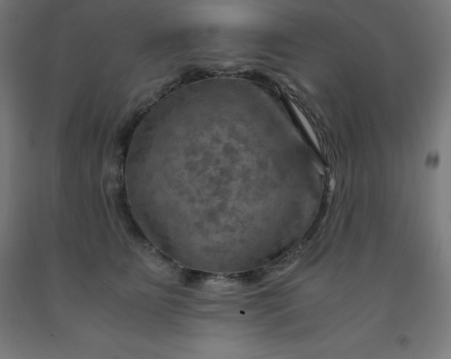 X0000092000515200709271511