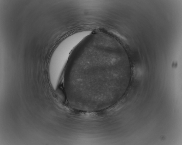 X0000092000517200709271511