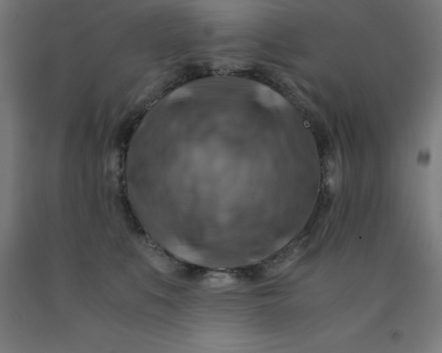 X0000092000519200709271511