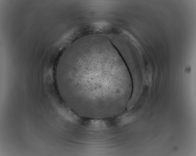 X0000092000520200709271511