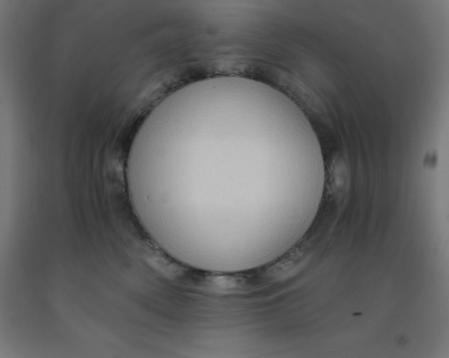 X0000092000522200709271511