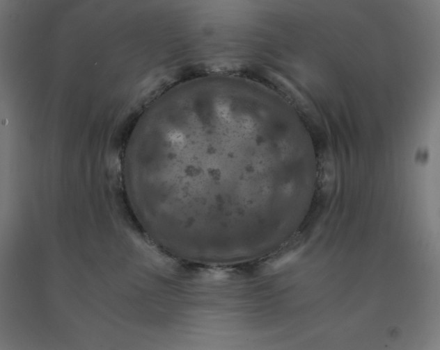 X0000092000523200709271511