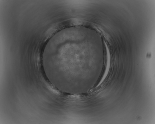 X0000092000524200709271511